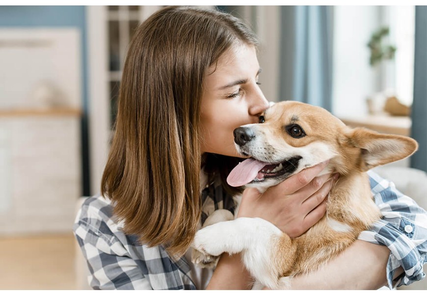 Find an Orphaned Baby Animal in the Wild? Here's What to Do