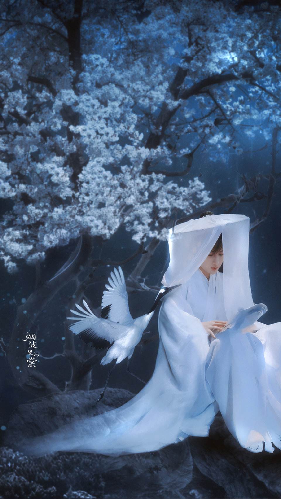 帷帽