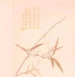 唐菖蒲布 — Shi Yang Jin (十样锦)