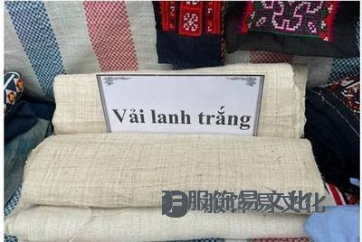 越南奠边府:传统服饰——南浦苗族妇女的骄傲