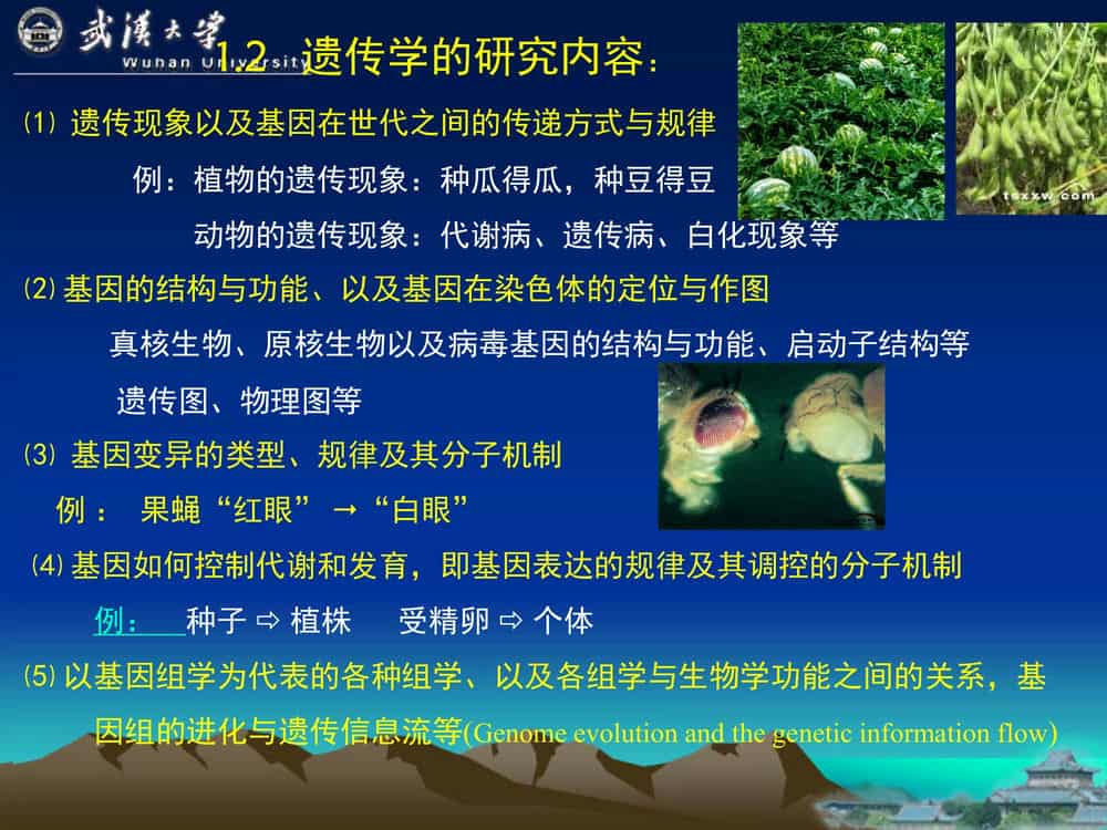 遗 传 学 (第3版)-武汉大学