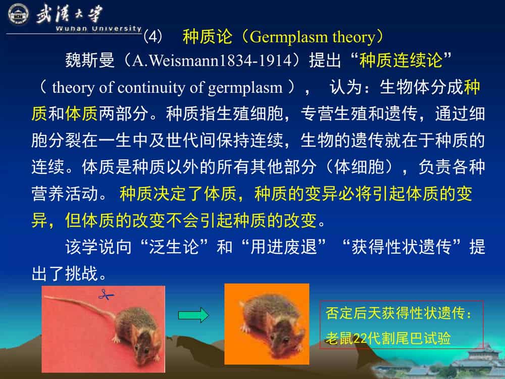 遗 传 学 (第3版)-武汉大学