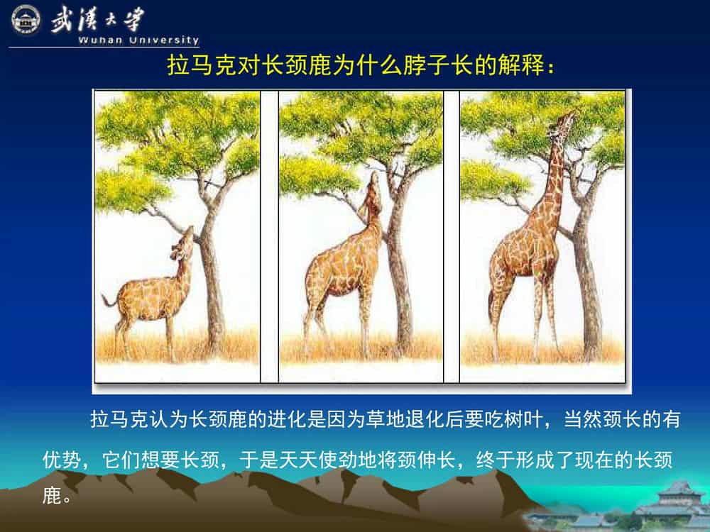 遗 传 学 (第3版)-武汉大学
