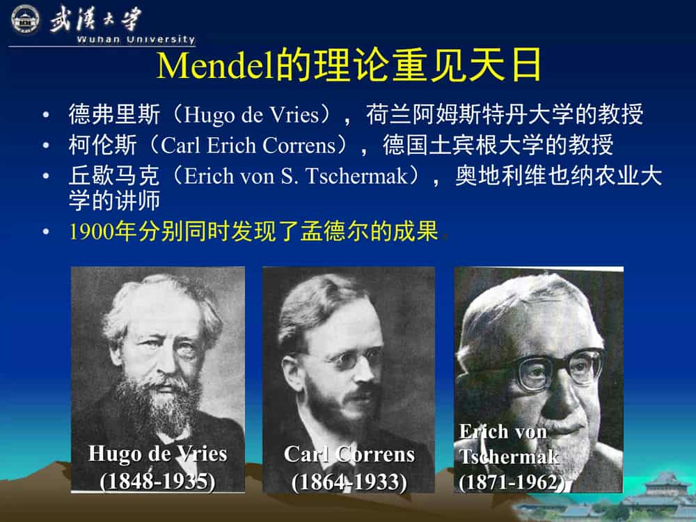 遗 传 学 (第3版)-武汉大学