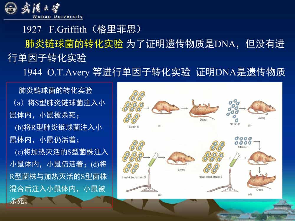 遗 传 学 (第3版)-武汉大学