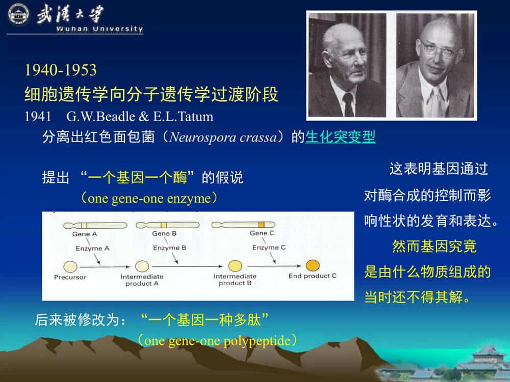 遗 传 学 (第3版)-武汉大学