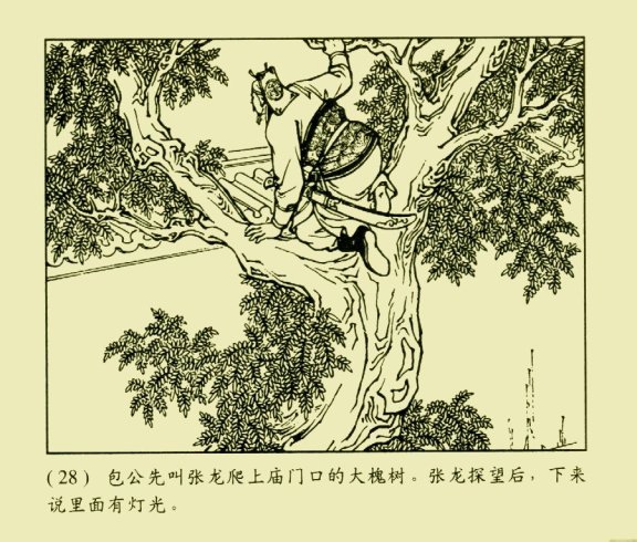 文章中插入卡片